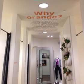 Custom Wallcovering & Stenciling